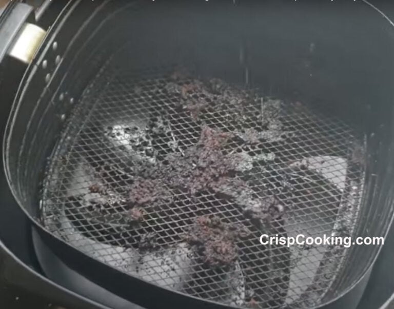 Clean Air Fryer Mesh