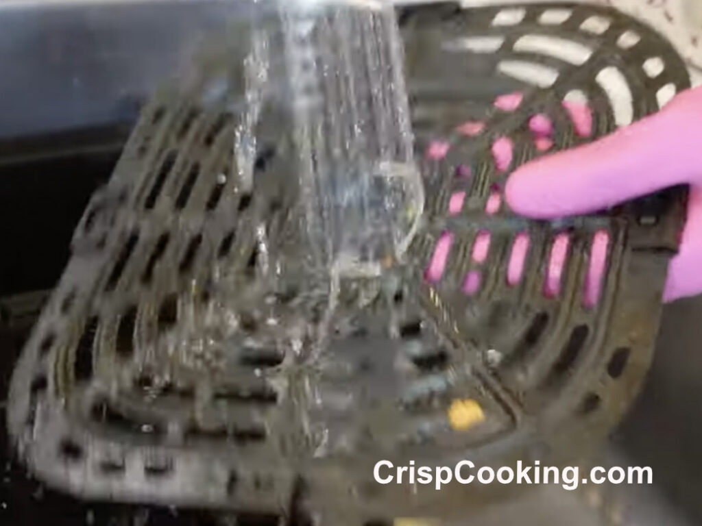 Rinse cooking tray Instant Vortex air fryer