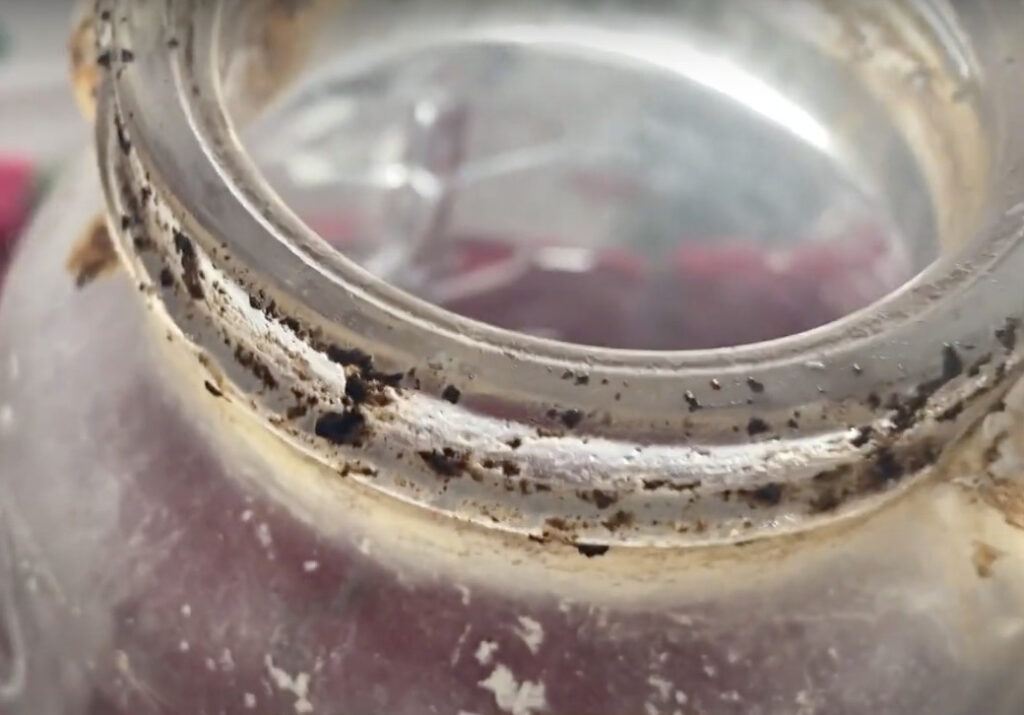 Dirty bottom of glass jar Oster Blender