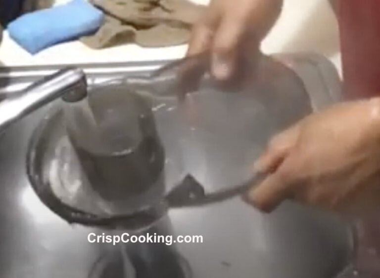 How to Clean a Hamilton Beach Juicer 7 Simple Steps with Pictures